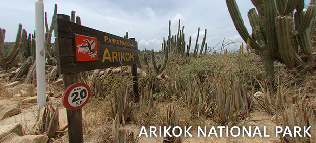 Arikok National Park