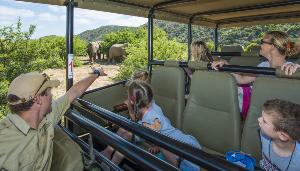 Experience a remarkable South African safari like this family-focused game-drive when you take a tailor-made holiday with Alfred&.