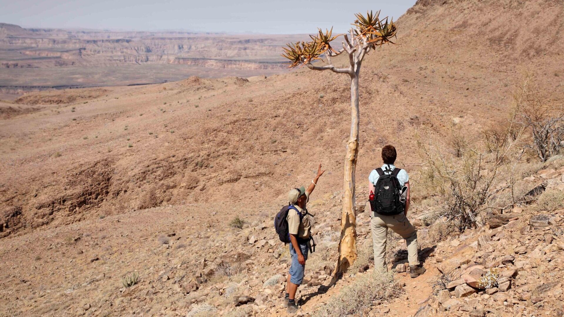 Fish River Canyon hike, Namibia - a 2023 guide