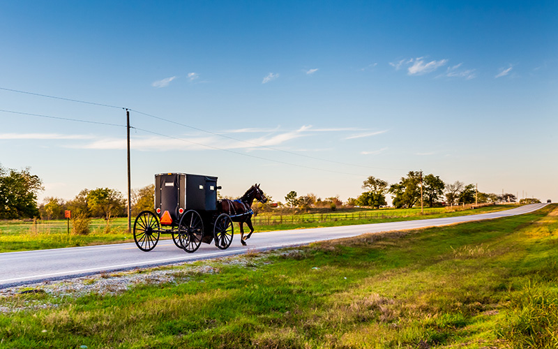 Amish Dating In The Usa